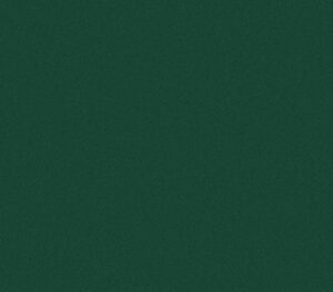 RAL 6005 Moosgrün